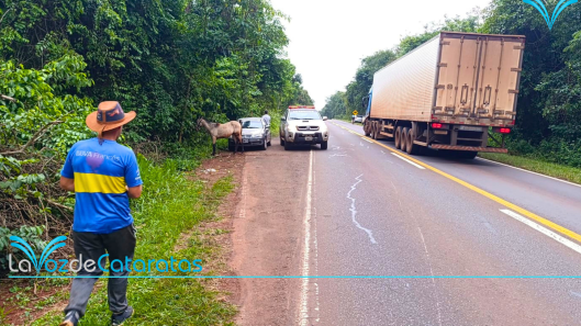 accidente con un carro iguazu