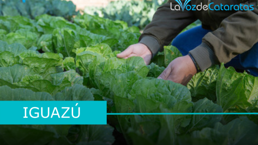 agroecologia