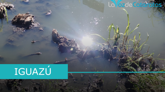 aguas servidas