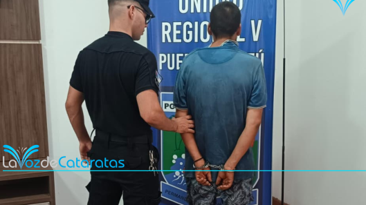arrestaron a pollon