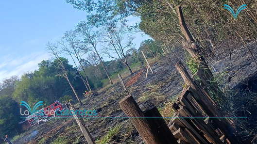 bomberos sofocan incendio de pastizal