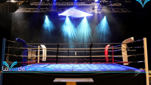 boxeo (2)