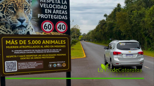 campaña parques (4)