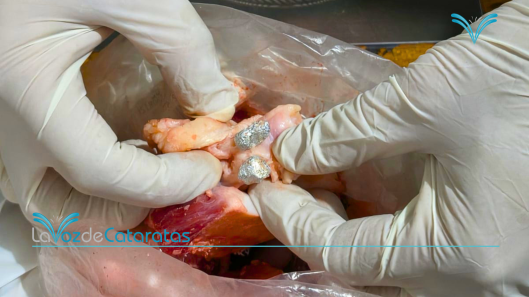 cocaina en la carne para un detenido