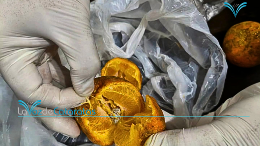 cocaina en limones iguazu