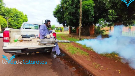 control dengue iguazu