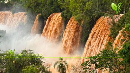 crecida cataratas lavozdecataratas