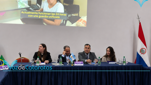 crimen organizadó
