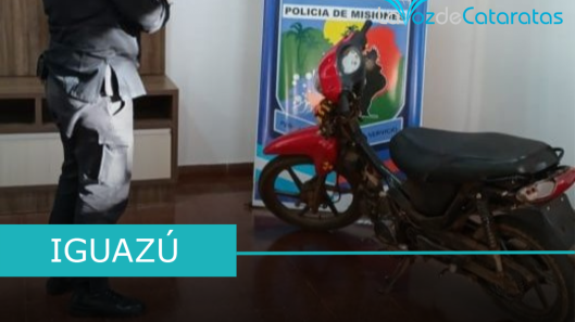 delincuentes precoces