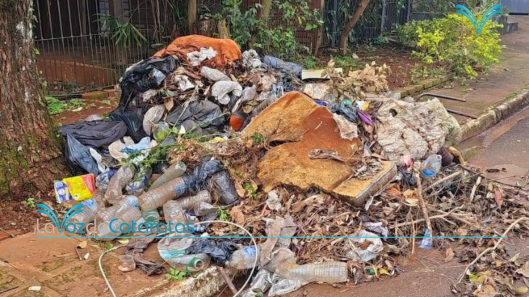 denuncias de saneamiento ambiental}