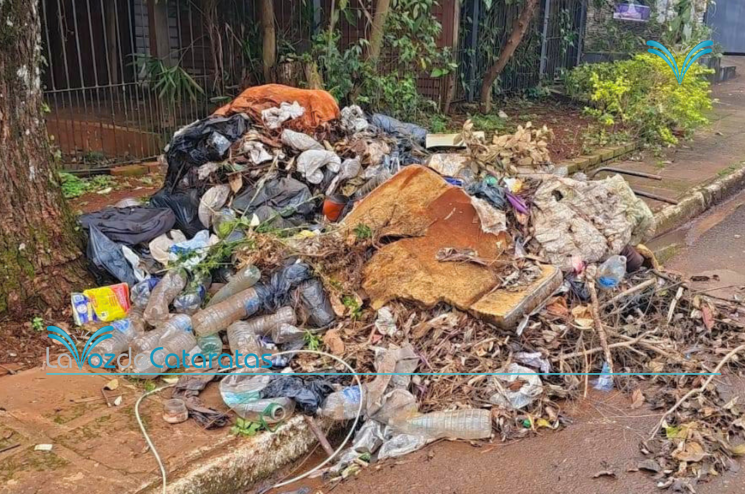 denuncias de saneamiento ambiental}