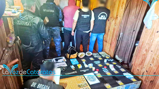 desarticularon banda de ladrones