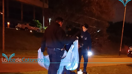 detenido por sustraer la bandera