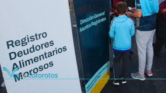 deudores morosos
