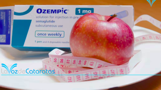 dia mundial de la obesidad