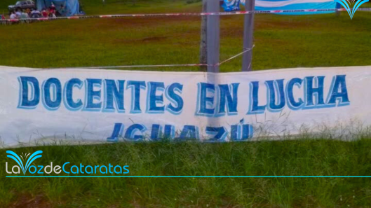docentes en lucha (2)