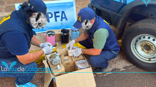 drogas dentro de termos policia federal