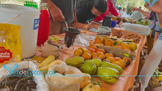 feria de semilla