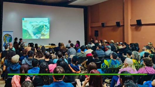 guias de turismo