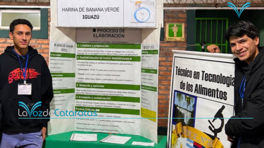 harina de banana verde va al nacional