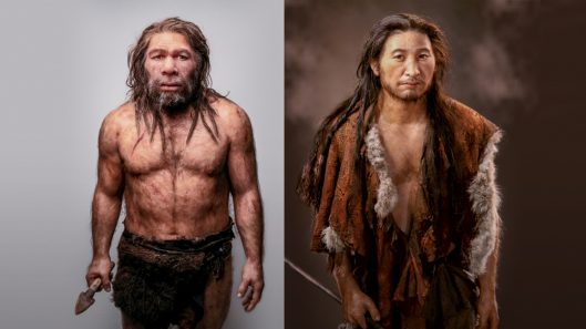 homo-sapiens-vs-neandertal