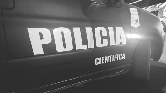 hoy