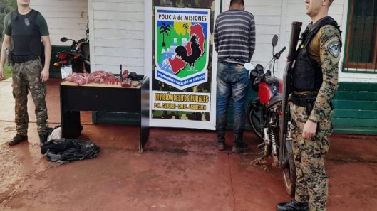 hoy