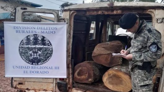 hoy