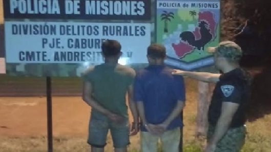 hoy