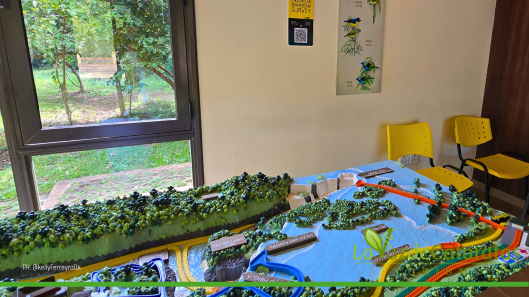iguazu jungle encuestas digitales 3
