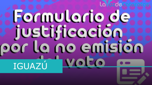 justificar el voto