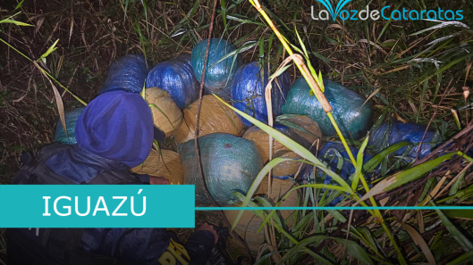 la dederal incauta droga en puertyo esperanza
