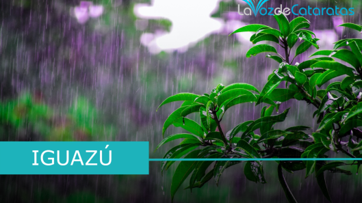 lluvia iguazu