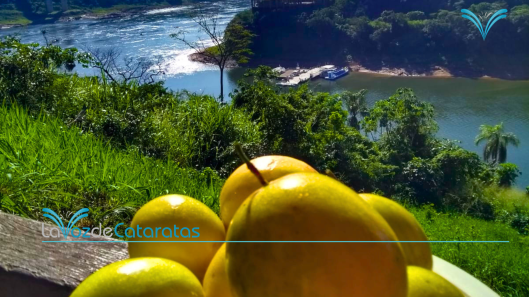 maracuya de puertolibertad a Iguazu