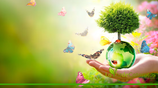 medio ambiente