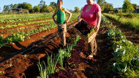 mujeres rurales