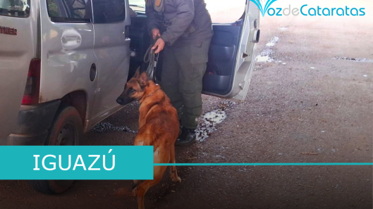 perros detectores de gendarmeria