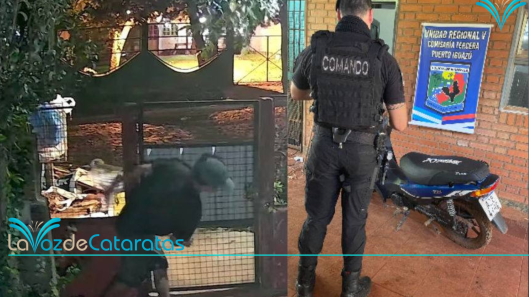 placa noticias (4)