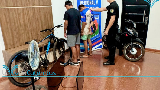 policiales