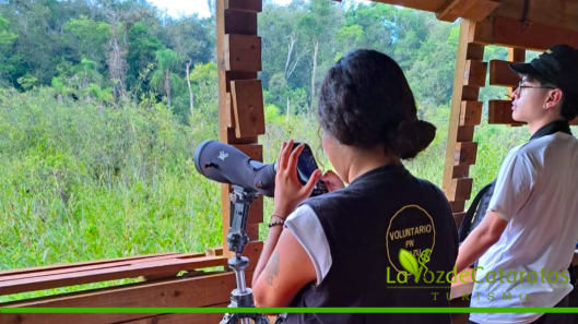 relevamiento de aves parque Iguazu 5