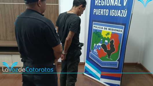 robó una riñonera y fue detenido