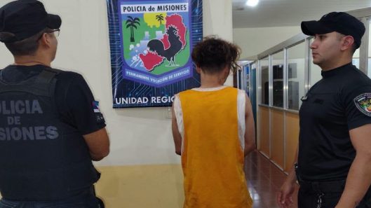salió en libertad y al día siguiente volvió a ser detenido por otro robo