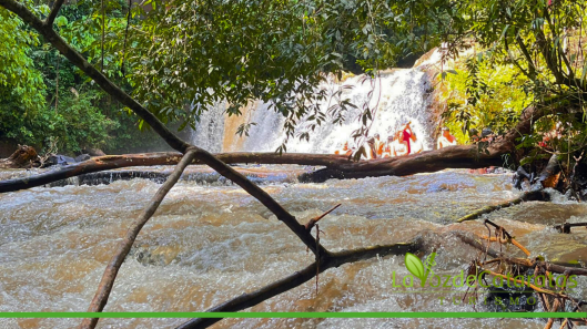salto mbocay iguazu