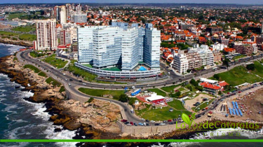 san bernardo