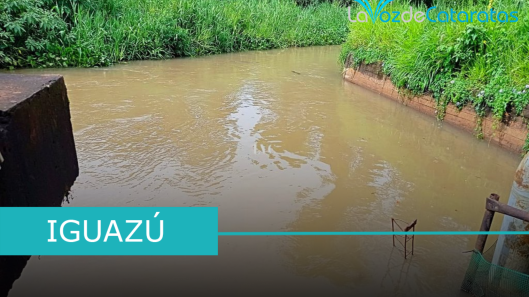 toma mbocay iguazu