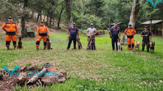 unidad canina
