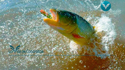 veda de pesca
