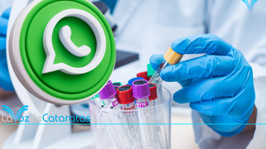 whatsapp samic iguazu