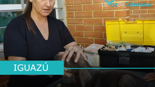 zoonosis iguazu