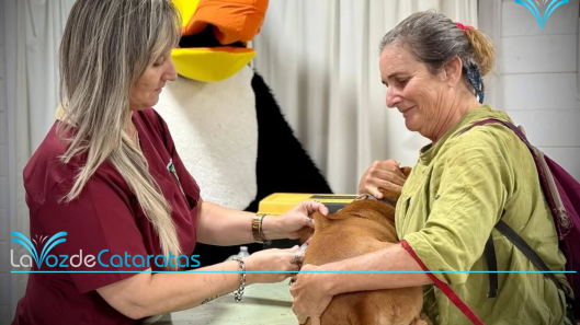 zoonosis